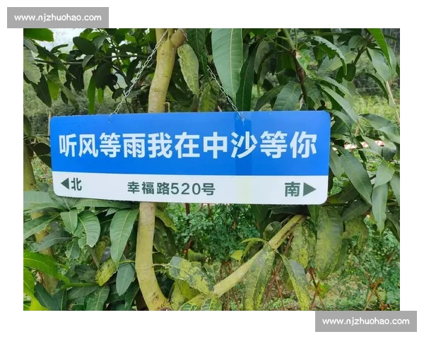 听风就是雨!记者一语引国安解散谣,孤军奋战盼支持 听风就是雨!记者一语引国安解散谣,孤军奋战盼支持